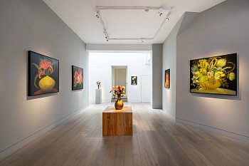 Shany van den Berg 2025 (c) Damian Griffiths LR (5)