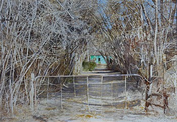 HAZELNUT HEDGE, Hogsback. Oil on Belgian Linen, 70 x 100cm