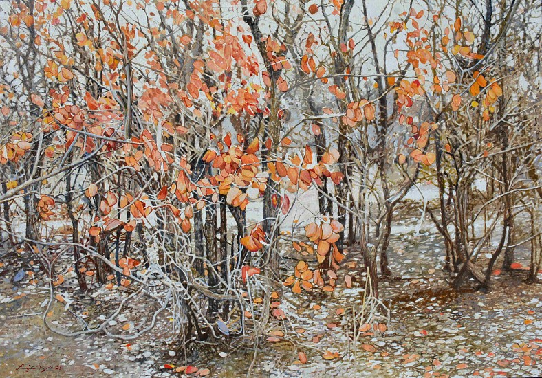LEIGH VOIGT, Mopane, Colophospermum mopane, after fire, near Mopane Camp, Kruger National Park
oil on Belgian Linen