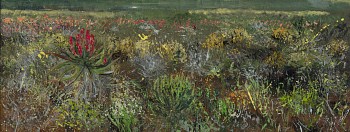 Arabella Caccia, Karoo Veld, oil on board, 14.5 x 40 cm HR (c) Matt Slater (1) FRAME CROPPED