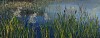 Arabella Caccia, Pilanesberg Water Reed, oil on board, 14.5 x 40 cm HR (c) Matt Slater (1) FRAME CROPPED