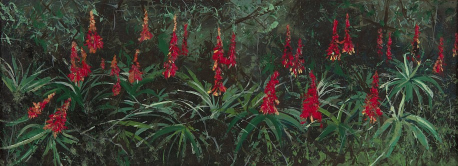 ARABELLA CACCIA, Winter Aloes
Oil on board