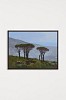 Denby Meyer, Treeline, acrylic on canvas, 60 x 80 cm HR (c) Matt Slater (2)
