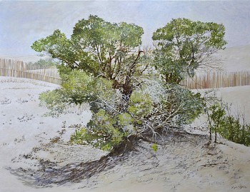 10 DESERT POPLAR, Taklamakan Desert, China, Oil on Belgian linen, 100 x 130cm lighter