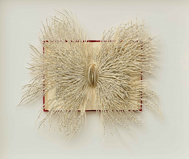 BARBARA WILDENBOER, Ovid's Metamorphosis II
Altered book