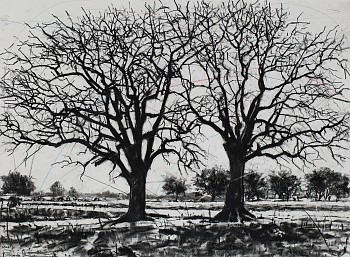 LR Ku rhula a Ku ve ka n'wina (peace be unto you) 3, charcoal on paper, 56 x 76 cm