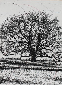 HR Ku rhula a Ku ve ka n'wina (peace be unto you) 2, charcoal on paper, 76 x 56 cm