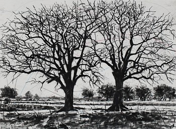 HR Ku rhula a Ku ve ka n'wina (peace be unto you) 3, charcoal on paper, 56 x 76 cm