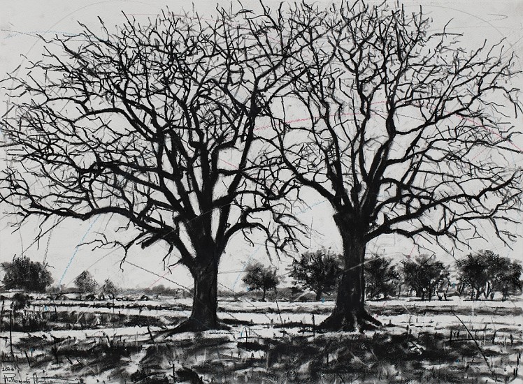 PHILLEMON HLUNGWANI, Ku rhula a Ku ve ka n’wina III (Peace be unto you III)
charcoal on paper