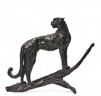 S504 Surveying Cheetah V Maquette banner size