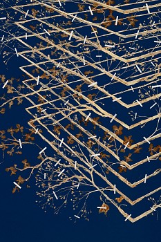 Gerhard Marx, Hedge, plant material, tissue paper and acrylic ground on canvas and board, 125 x 150 cm (c) Mike Hall MR (detail 1)