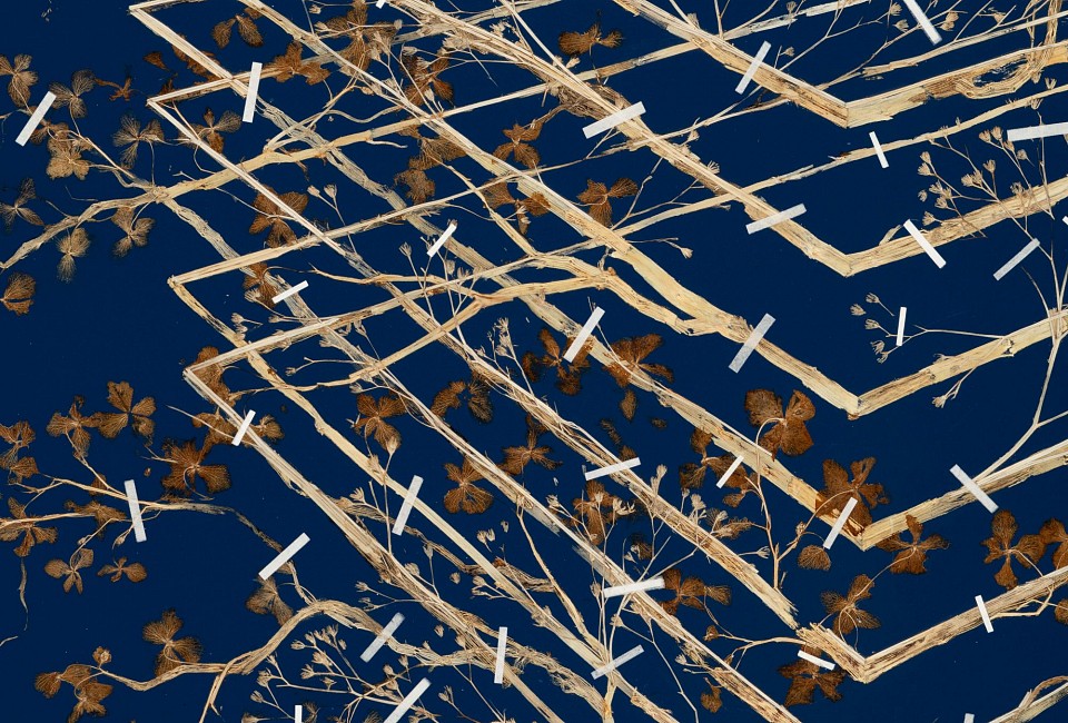 Gerhard Marx, Hedge, plant material, tissue paper and acrylic ground on canvas and board, 125 x 150 cm (c) Mike Hall MR (detail 1)