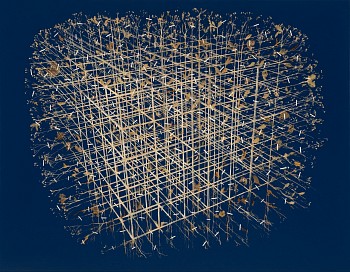 Gerhard Marx, Encyclopaedic (Dimensional Botanical), 140 x 180 cm (2)