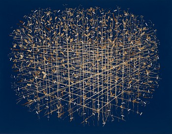 Gerhard Marx, Panoramic (Dimensional Botanical), 140 x 180 cm (2)