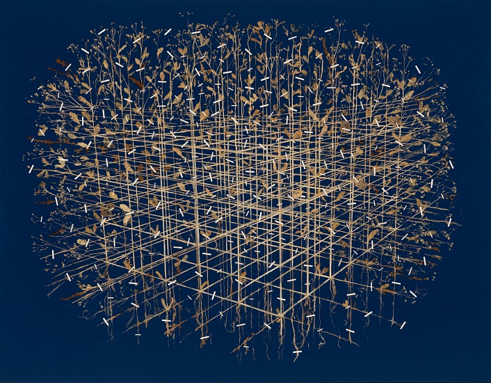 GERHARD MARX, Panoramic (Dimensional Botanical)
plant material, tissue paper and acrylic ground on canvas and board