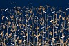 Gerhard Marx, Panoramic (Dimensional Botanical), 140 x 180 cm (6)