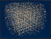 Gerhard Marx, Encyclopaedic (Dimensional Botanical), 140 x 180 cm (1) frame