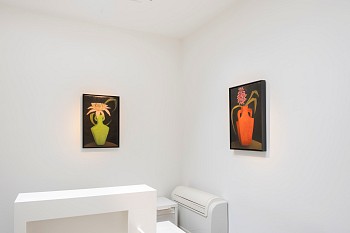 DSCF4489